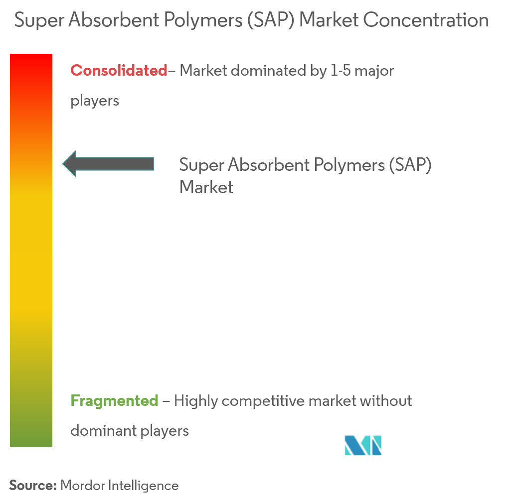 Concentración del mercado de polímeros superabsorbentes